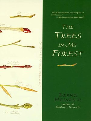 The Trees in My Forest - ebook